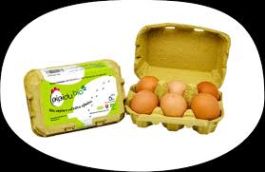 Bio vajcia, 6ks, Slovensko