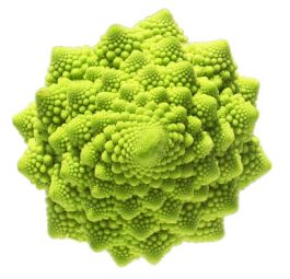 Romanesco, 1ks