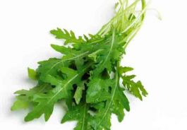 Rukola 125g, Taliansko