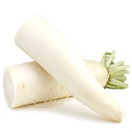 Biela reďkovka 1kus