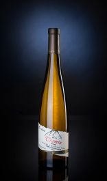 Tramín červený 2023, Domin&Kušický