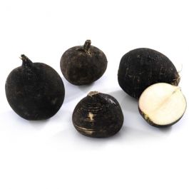 Reďkovka čierna,  200g cca